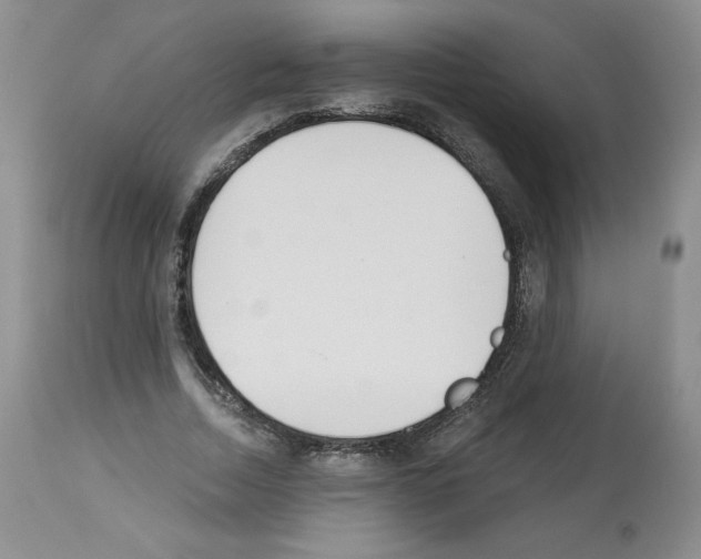 X0000112840730200910021107