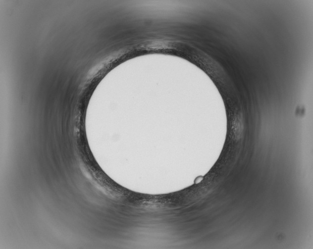 X0000112840732200910021107