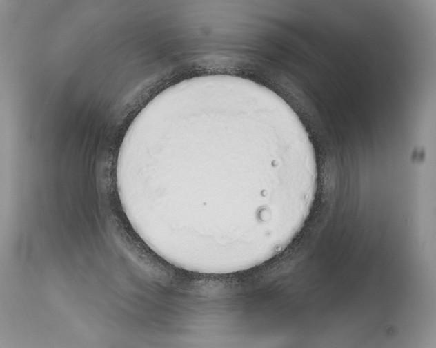 X0000112840733200910021107