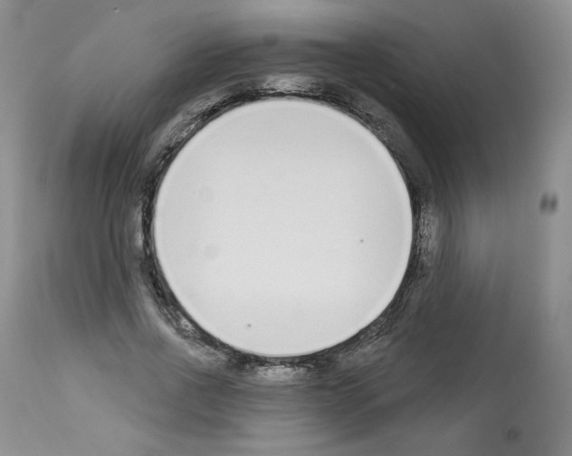 X0000112840734200910021107