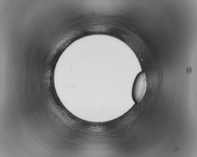 X0000112840735200910021107