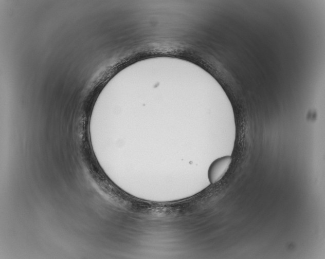 X0000112840736200910021107