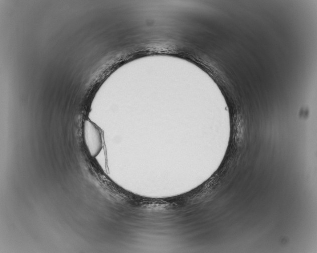 X0000112840738200910021107