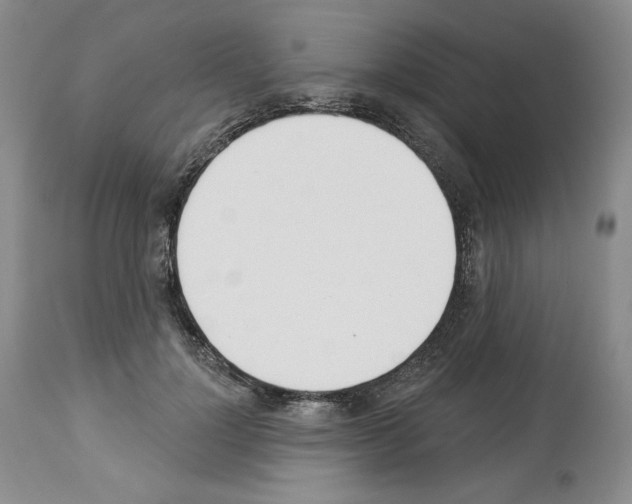 X0000112840748200910021107