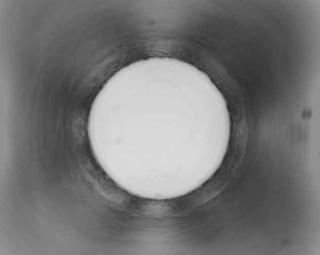 X0000112840749200910021107