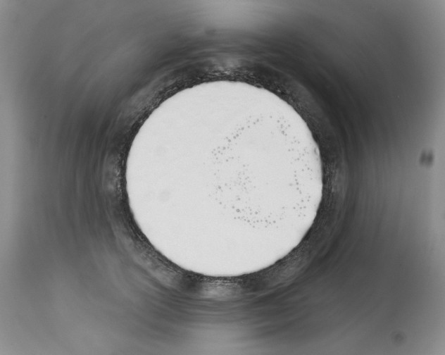 X0000112840754200910021108