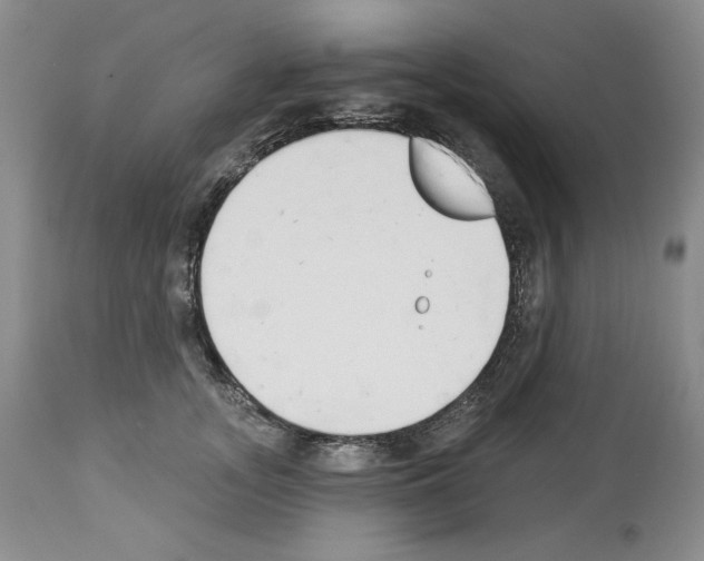 X0000112840755200910021108