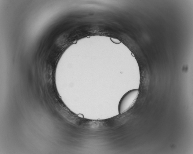 X0000112840762200910021108