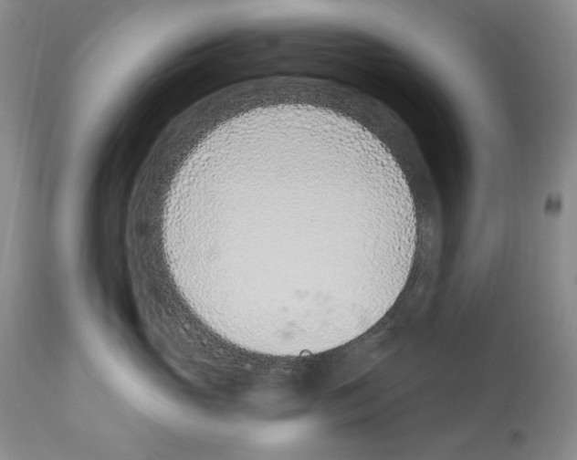 X0000112840765200910021108