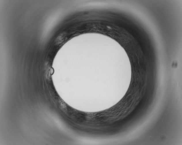 X0000112840766200910021108