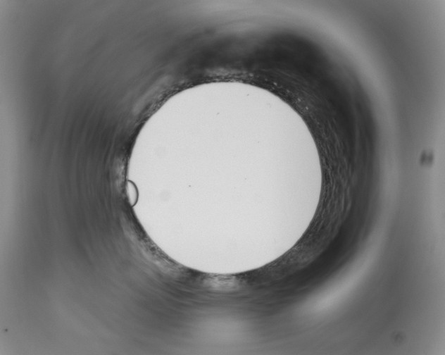 X0000112840767200910021108