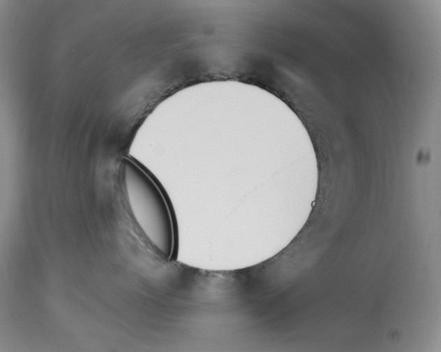 X0000112840768200910021108