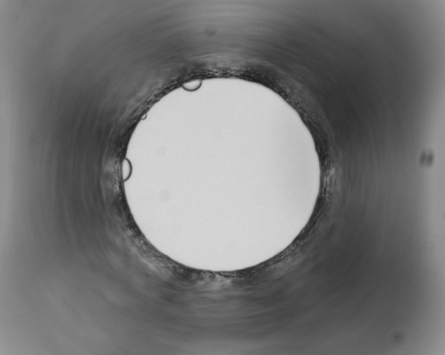 X0000112840772200910021107