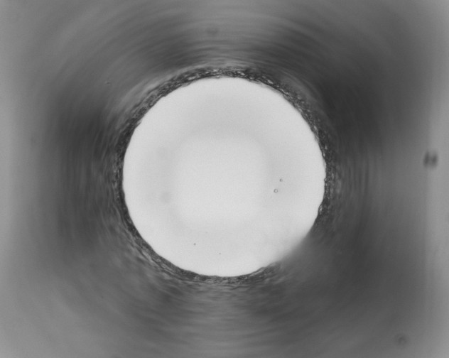 X0000112840773200910021107