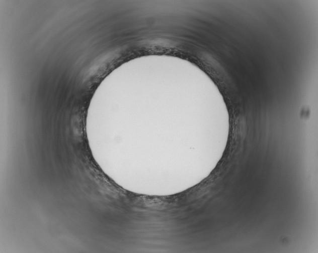 X0000112840774200910021107