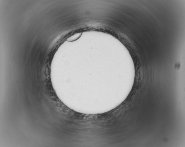 X0000112840776200910021107