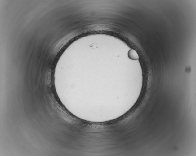 X0000112840777200910021107