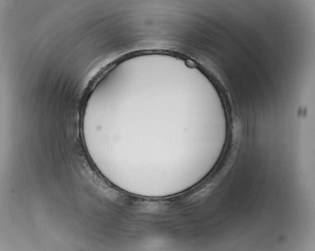 X0000112840781200910021107