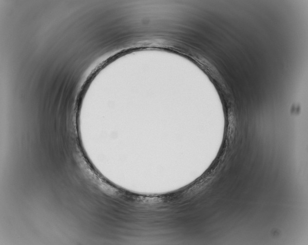 X0000112840784200910021107