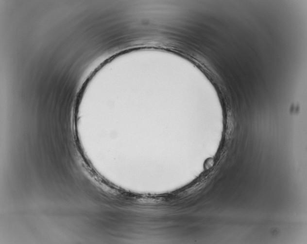 X0000112840788200910021107