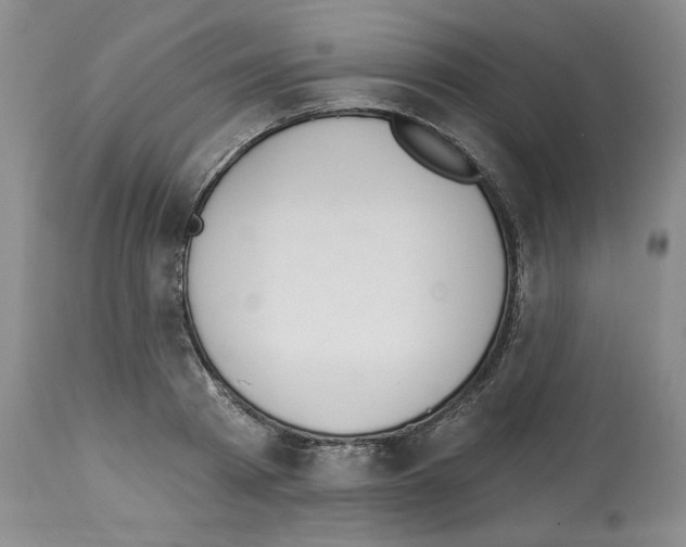 X0000112840793200910021107