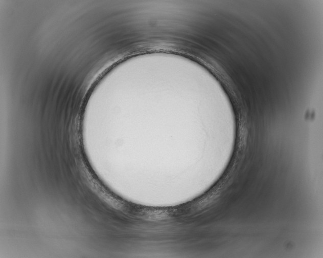 X0000112840798200910021107