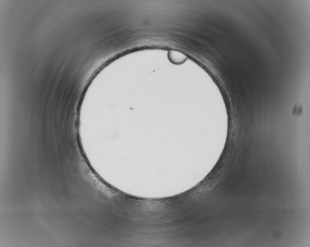 X0000112840799200910021107