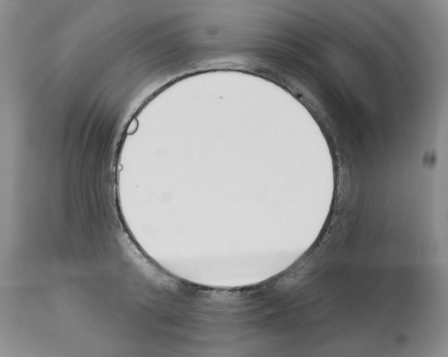 X0000112840800200910021107