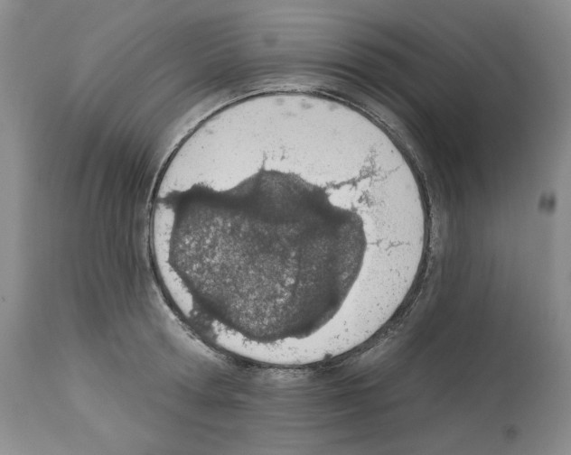 X0000112840802200910021107