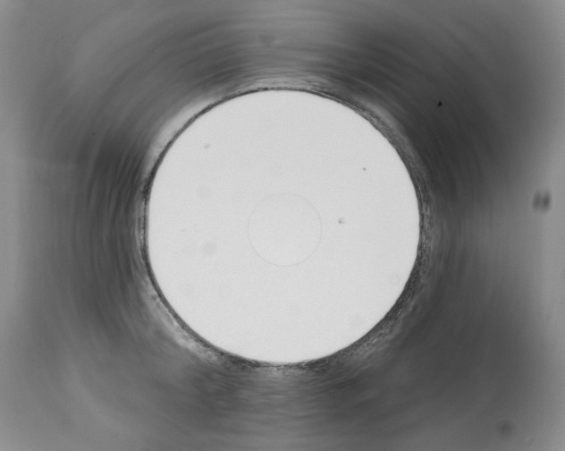 X0000112840804200910021107