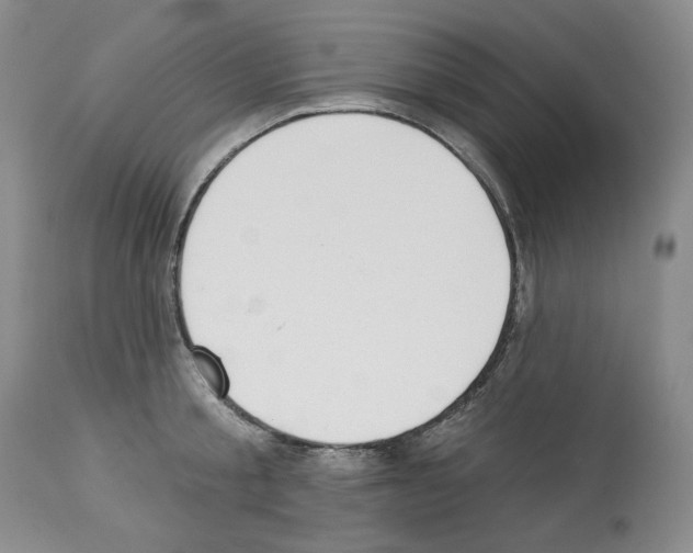 X0000112840805200910021107