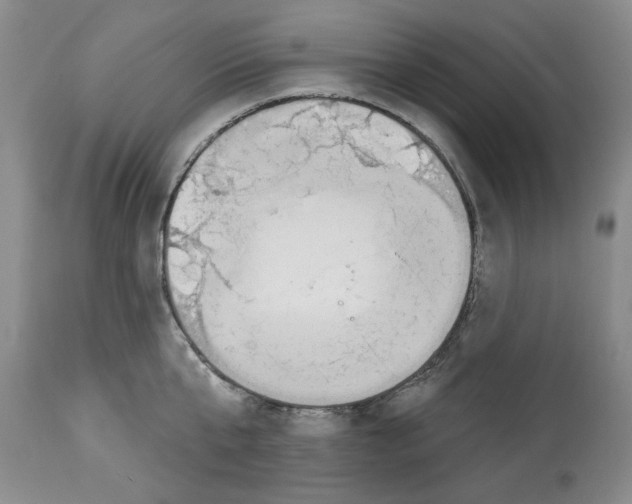 X0000112840807200910021107