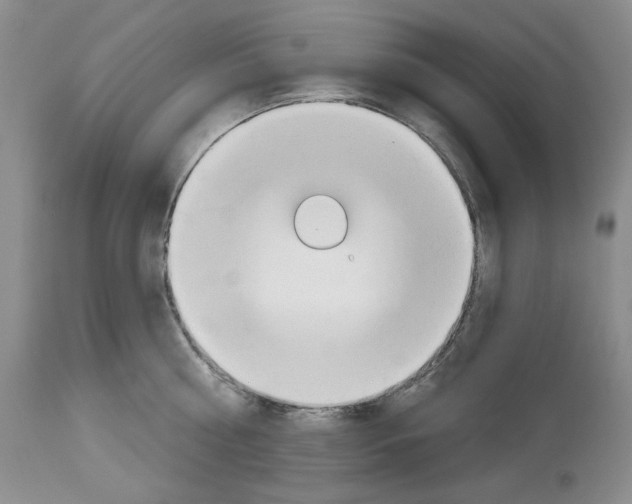 X0000112840810200910021107