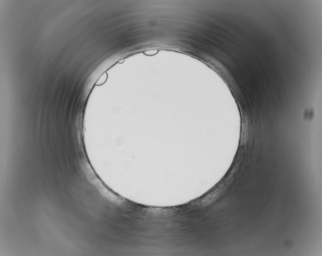 X0000112840812200910021106