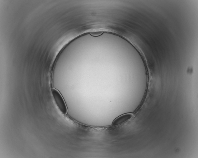 X0000112840813200910021106