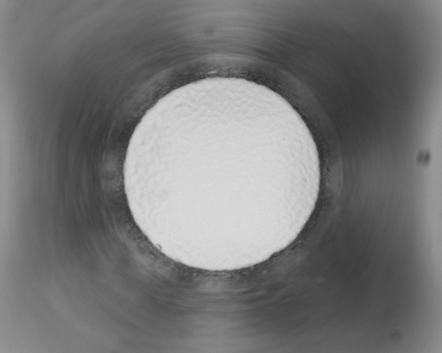 X0000112840819200910021106