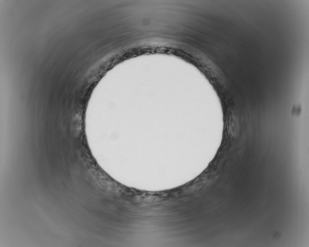 X0000112840821200910021106