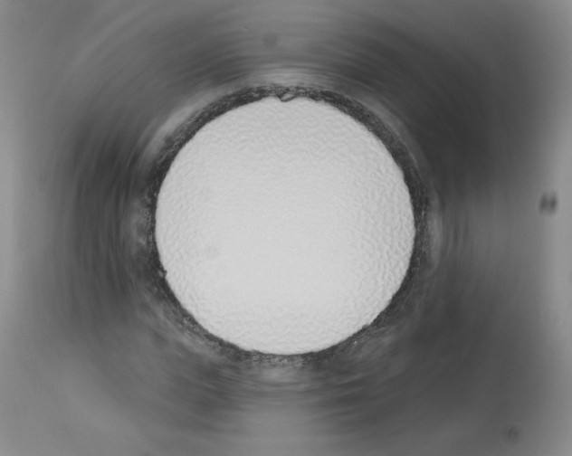 X0000112840823200910021106