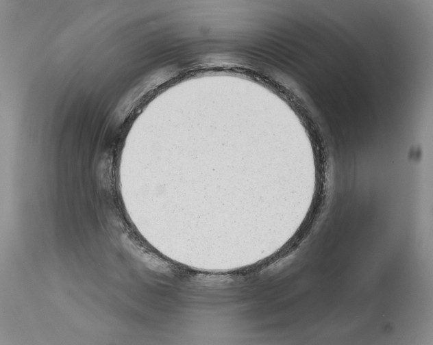 X0000112840825200910021106