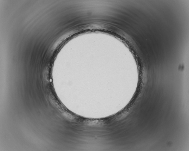 X0000112840826200910021106