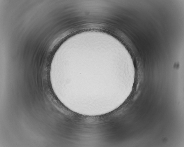 X0000112840827200910021106