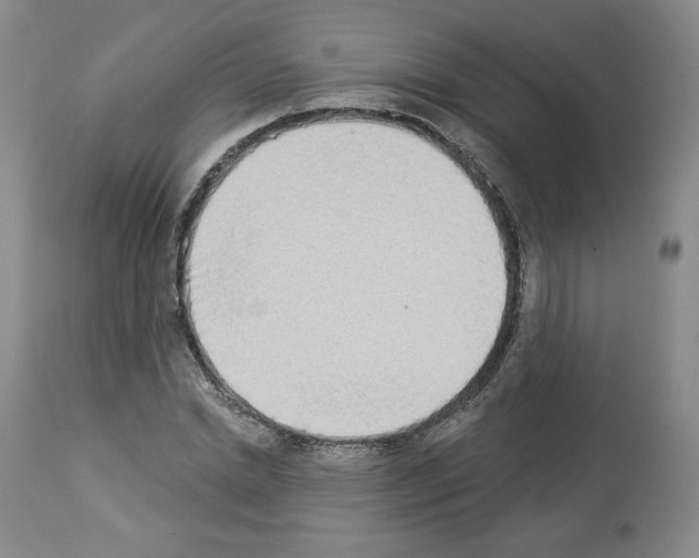 X0000112840830200910021106