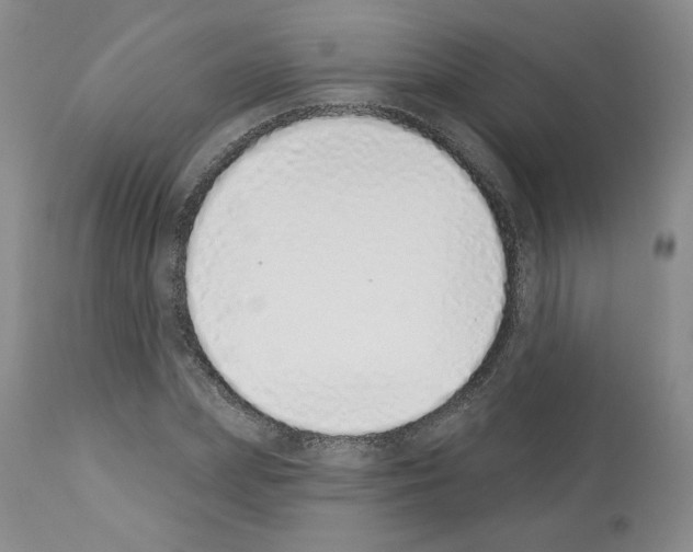 X0000112840831200910021106