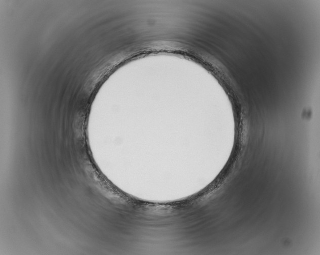 X0000112840833200910021106