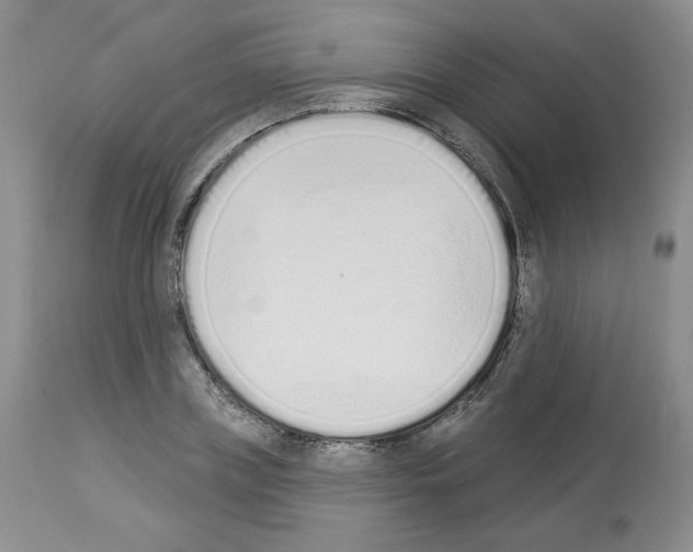 X0000112840835200910021106