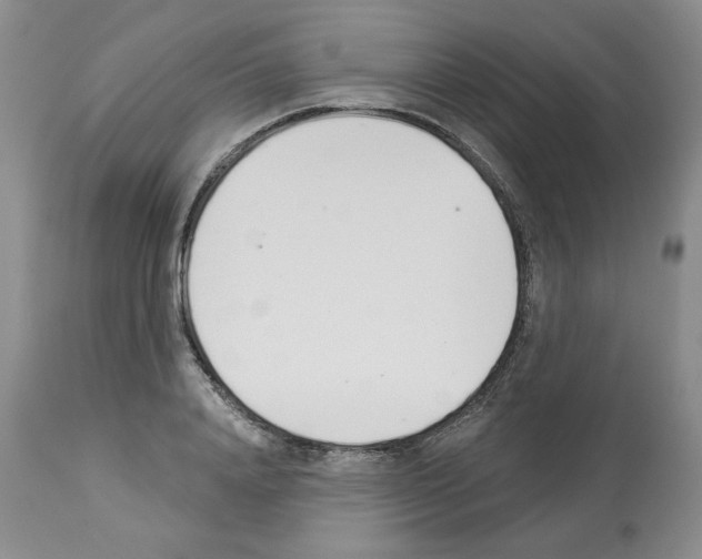 X0000112840840200910021106