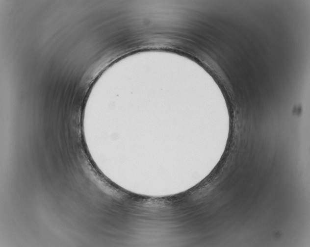 X0000112840842200910021106