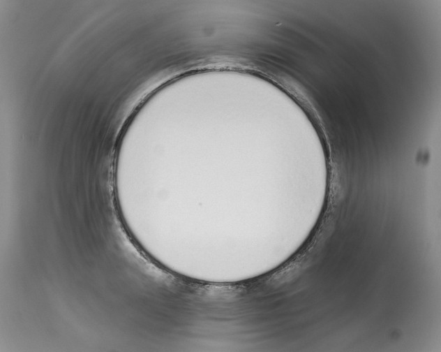 X0000112840847200910021106