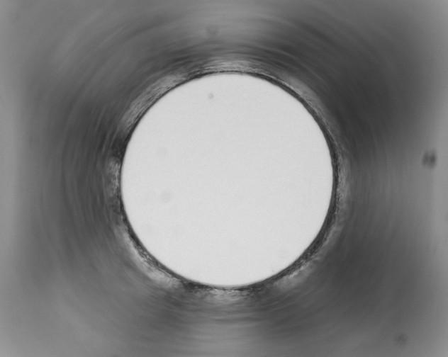 X0000112840849200910021106