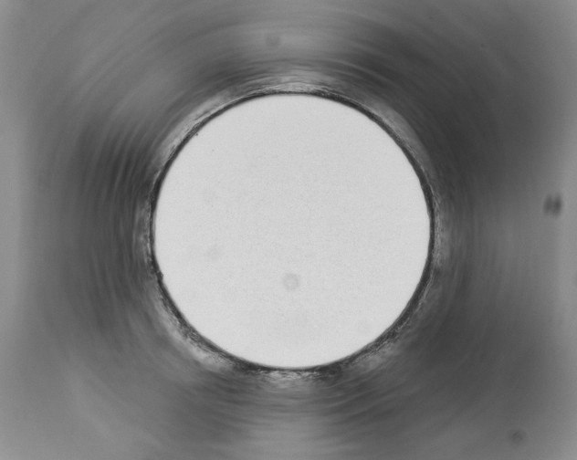 X0000112840850200910021106